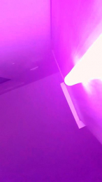 Bibalala webcam model stream image