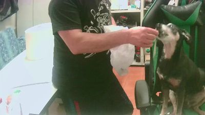 stenuccio webcam model stream image