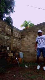 Black_spitpiss webcam model stream image
