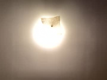 samalama821 webcam model stream image