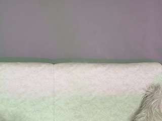 zoee-8 webcam model stream image