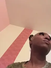 TheCam_Effect webcam model stream image