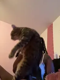 TheCam_Effect webcam model stream image