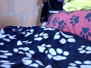 pamelapretty webcam camsoda model stream image