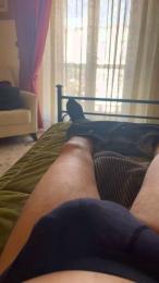 eucles webcam model stream image