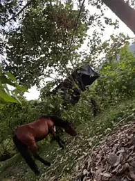 Ell_gomxxxz webcam model stream image