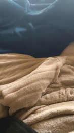 Gallumbero2 webcam cam4 model stream image