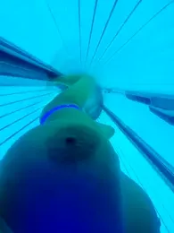 Libertine6259 webcam stripchat model stream image