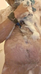 alotacock4u2 webcam model stream image