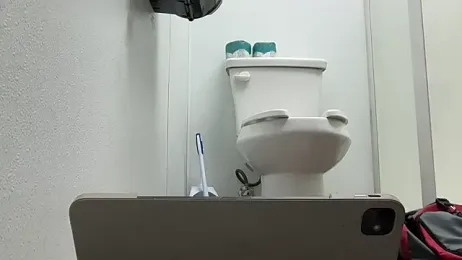 BearChubby300 webcam model stream image