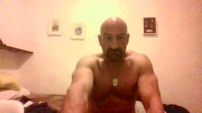 nordwind32 webcam model stream image