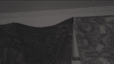 dcdomo webcam model stream image