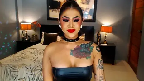 StellaStrong30 webcam model stream image