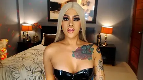 StellaStrong30 webcam model stream image