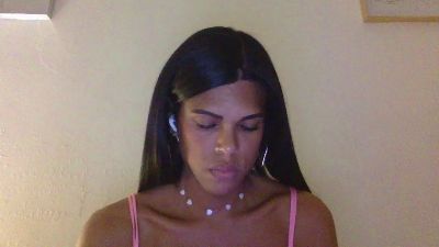 SamTRANS webcam model stream image