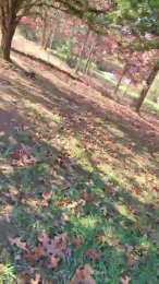 PixelTemptress webcam model stream image