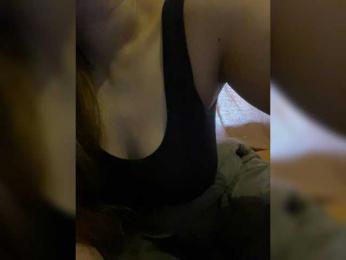 VS-VS webcam model stream image