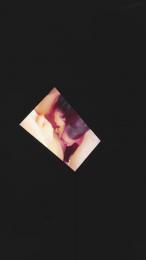 fercho436 webcam preview