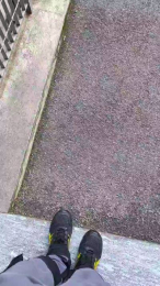 PorconeXL webcam model stream image
