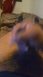 15963215roy webcam preview