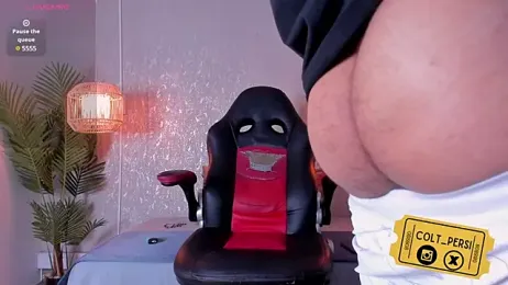 Colt_Perci webcam model stream image
