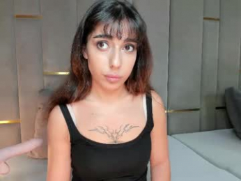 evalims webcam model stream image