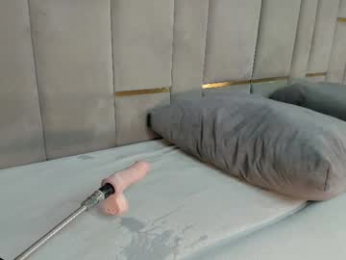 evalims webcam model stream image