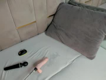 evalims webcam model stream image