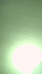 Annarellapika webcam model stream image