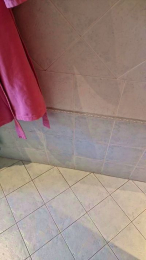 Selaeip webcam model stream image