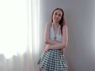 silverdyer webcam model stream image