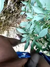 dolphiinn webcam model stream image