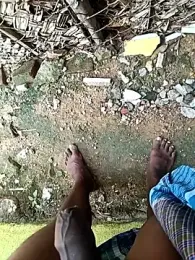 dolphiinn webcam model stream image