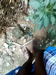 dolphiinn webcam model stream image