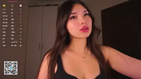 LoraAtcher webcam model stream image