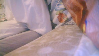 MAGICDICK20 webcam model stream image