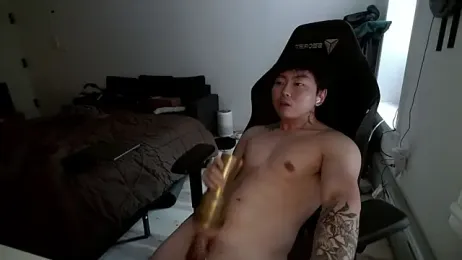 kysaua webcam model stream image