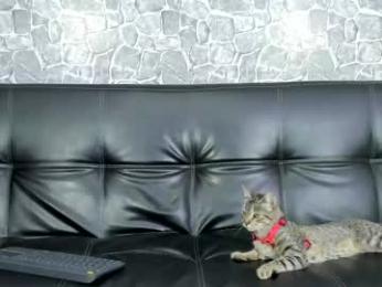 alejo_peverell webcam model stream image