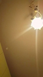 ricca_sexy webcam cam4 model stream image