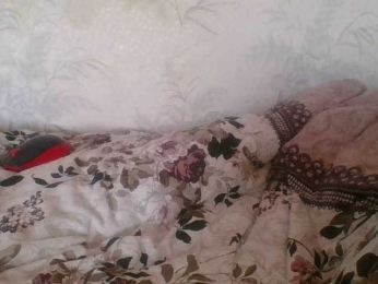 69Belka69 webcam model stream image