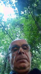 cucciolo5 webcam preview