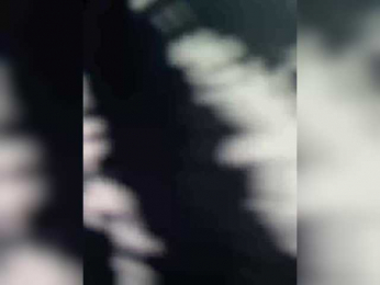 Etokiska webcam model stream image
