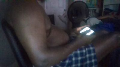 Silkworm_Piper webcam model stream image
