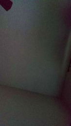 Silkworm_Piper webcam model stream image