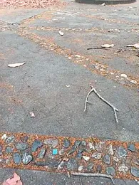 andresj22hot webcam stripchat model stream image