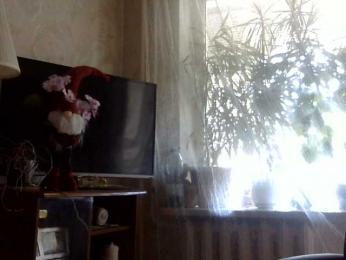 Daniella854 webcam bongacams model stream image