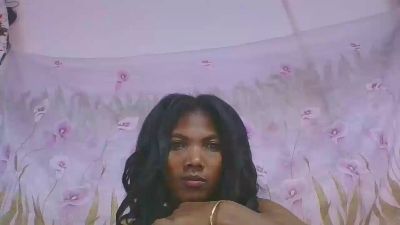 arinjaka webcam model stream image