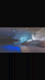 italianbros4 webcam model stream image