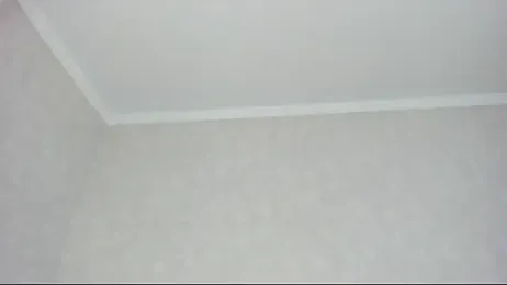 MollyDollz webcam stripchat model stream image