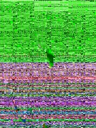 KailanDTD webcam stripchat model stream image